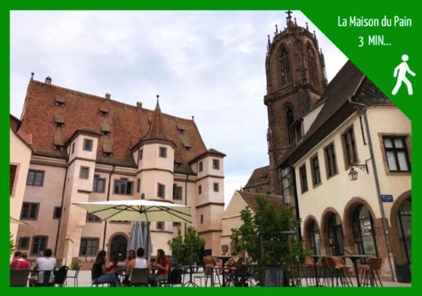 Aux Plaisirs D'Alsace Centre Historique Apartment Selestat Bagian luar foto