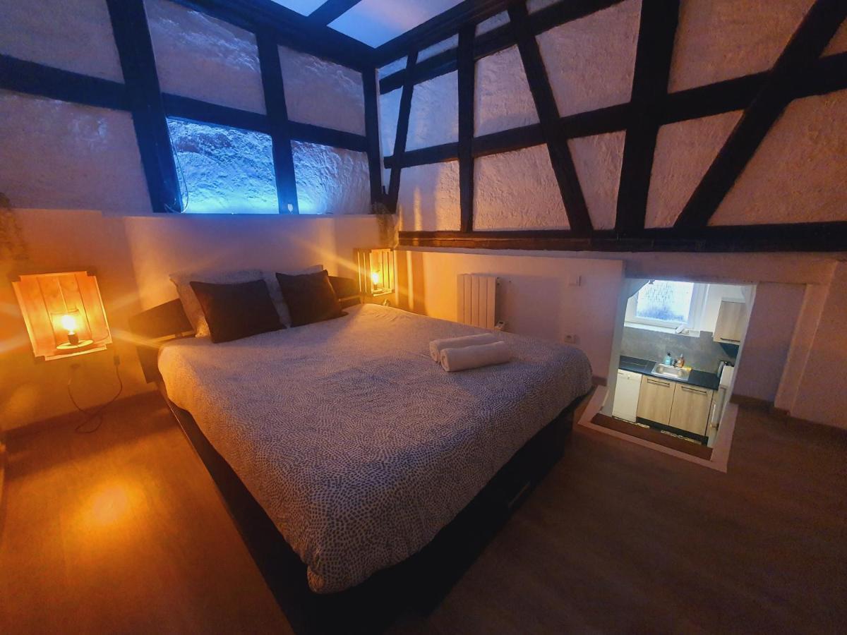 Aux Plaisirs D'Alsace Centre Historique Apartment Selestat Bagian luar foto